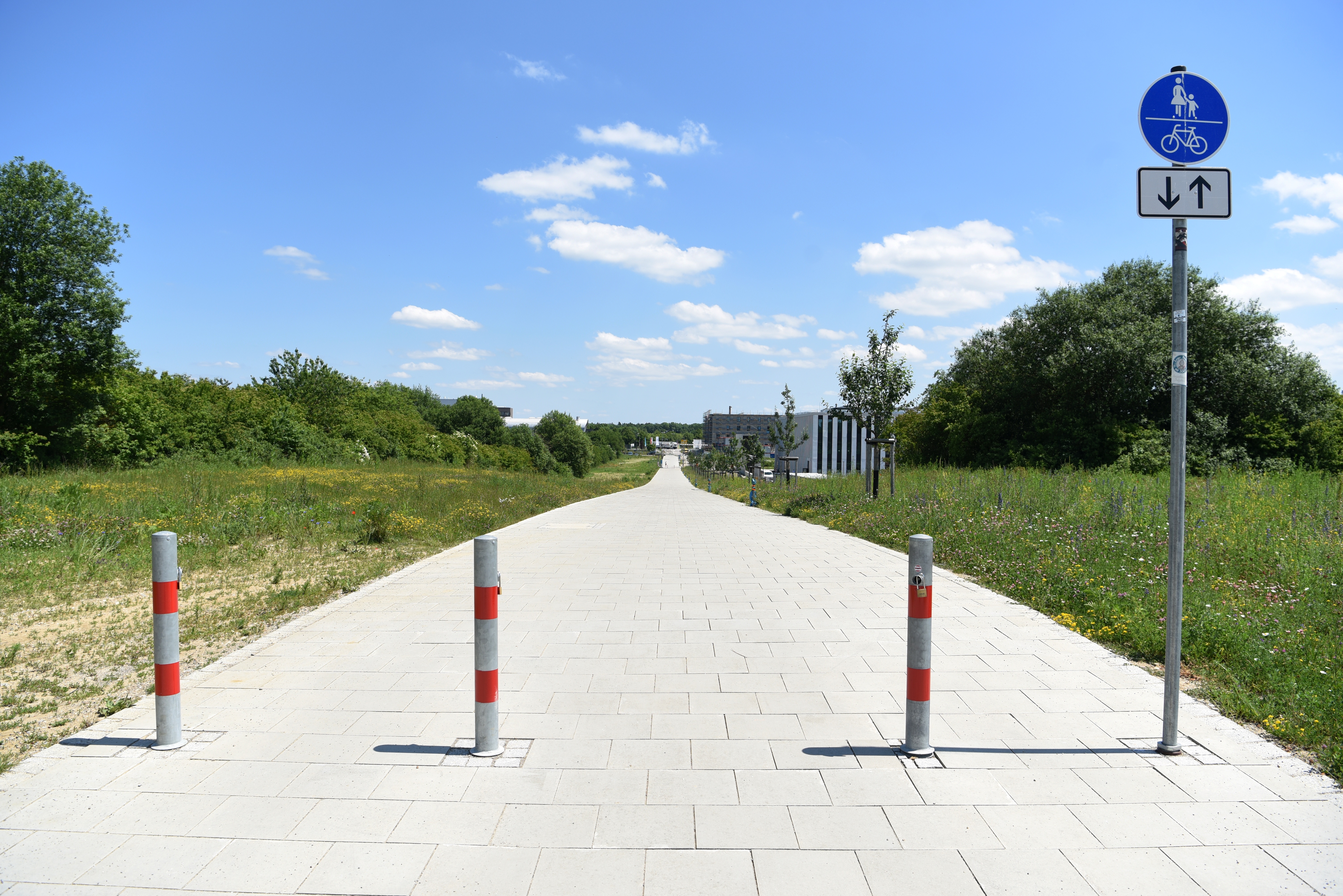 Fuß- und Radweg durch einen grünen Park