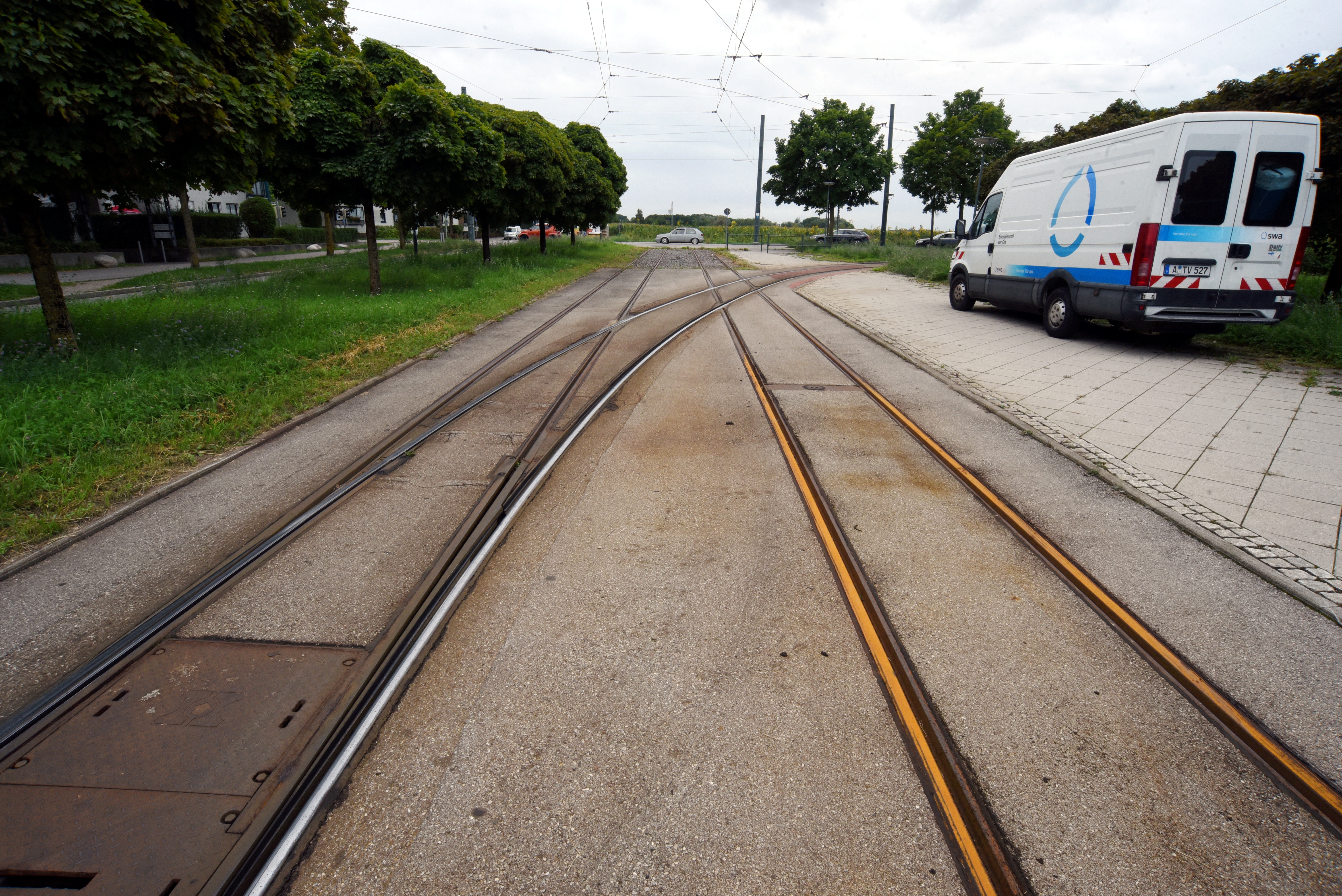 Straßenbahnschienen, daneben Grünstreifen mit Laubbäumen