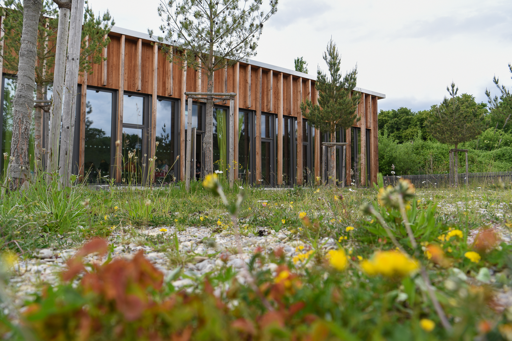 Flachgebäude mit holzverkleideter Fassade von außen, im Vordergrund Blumenwiese